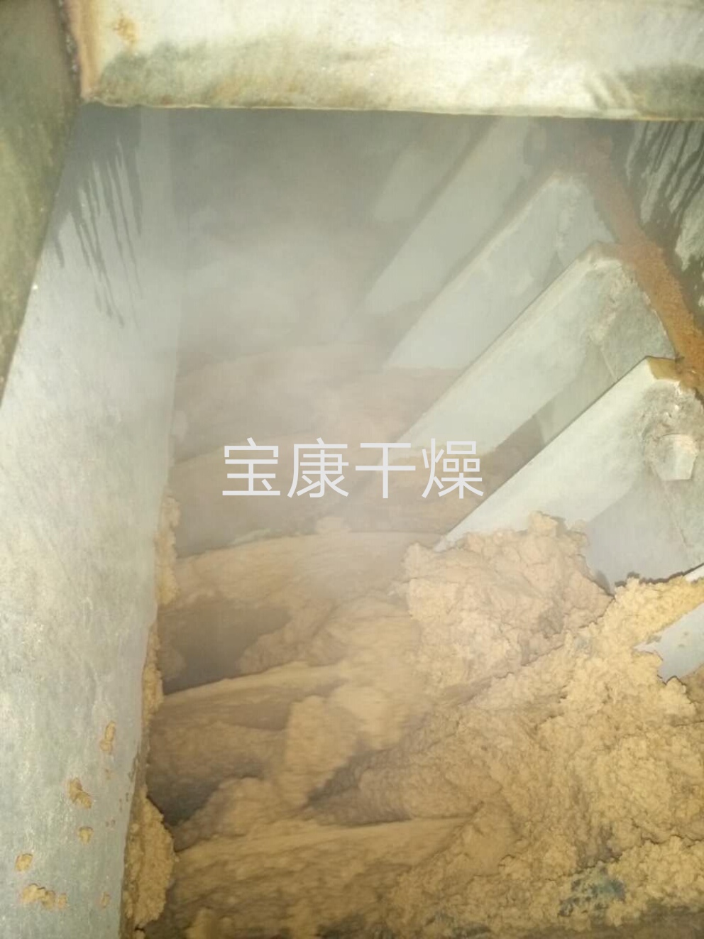 去年，